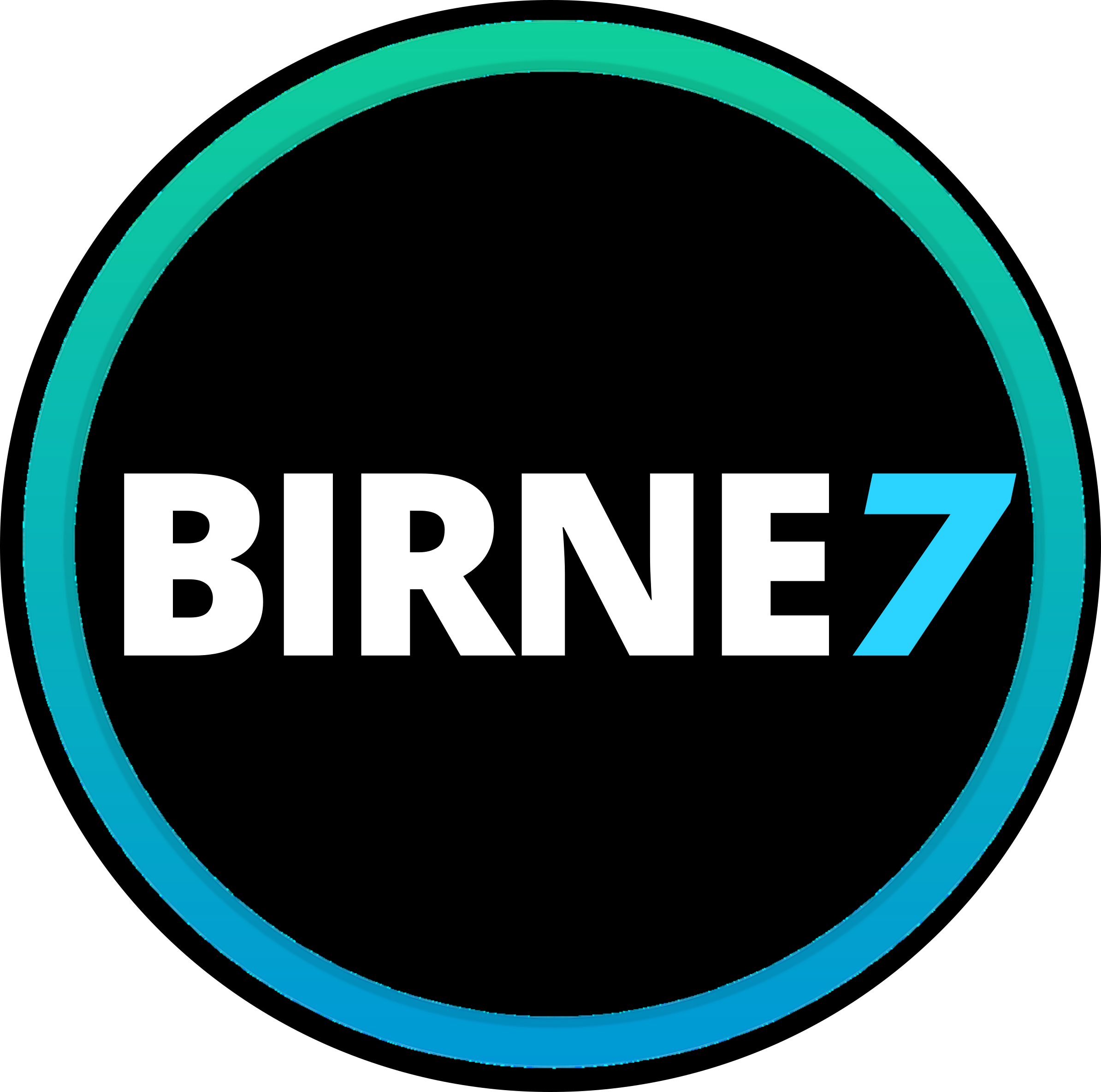 BIRNE7